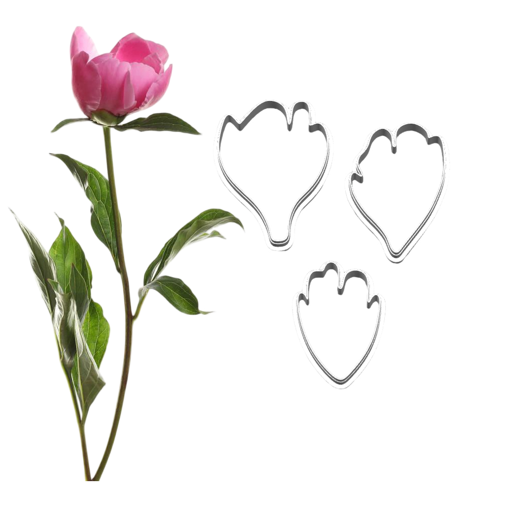 Nieuwe Peony siliconen mallen  - Candle Making Workshop recensie en prijs