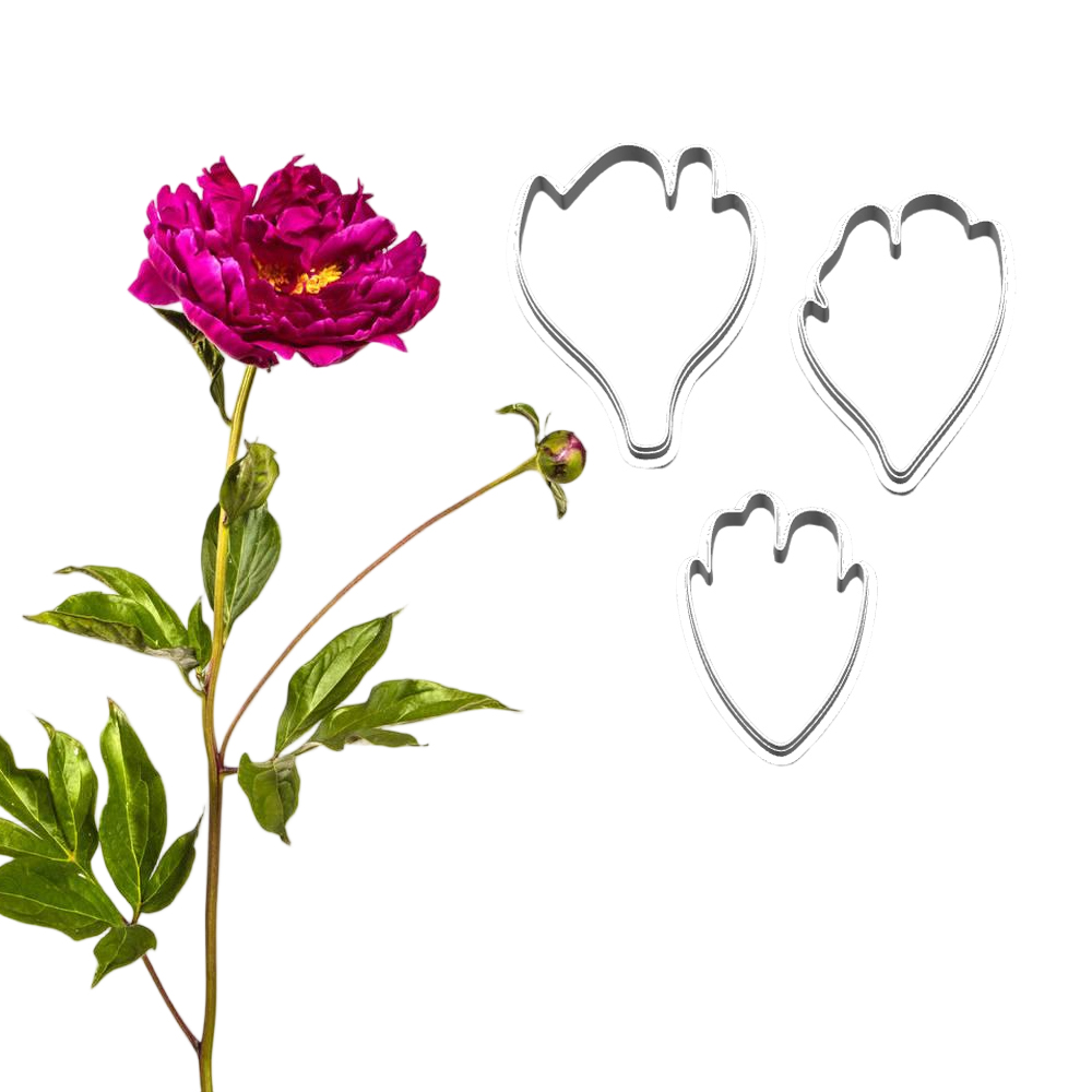 Nieuwe Peony siliconen mallen  - Candle Making Workshop recensie en prijs